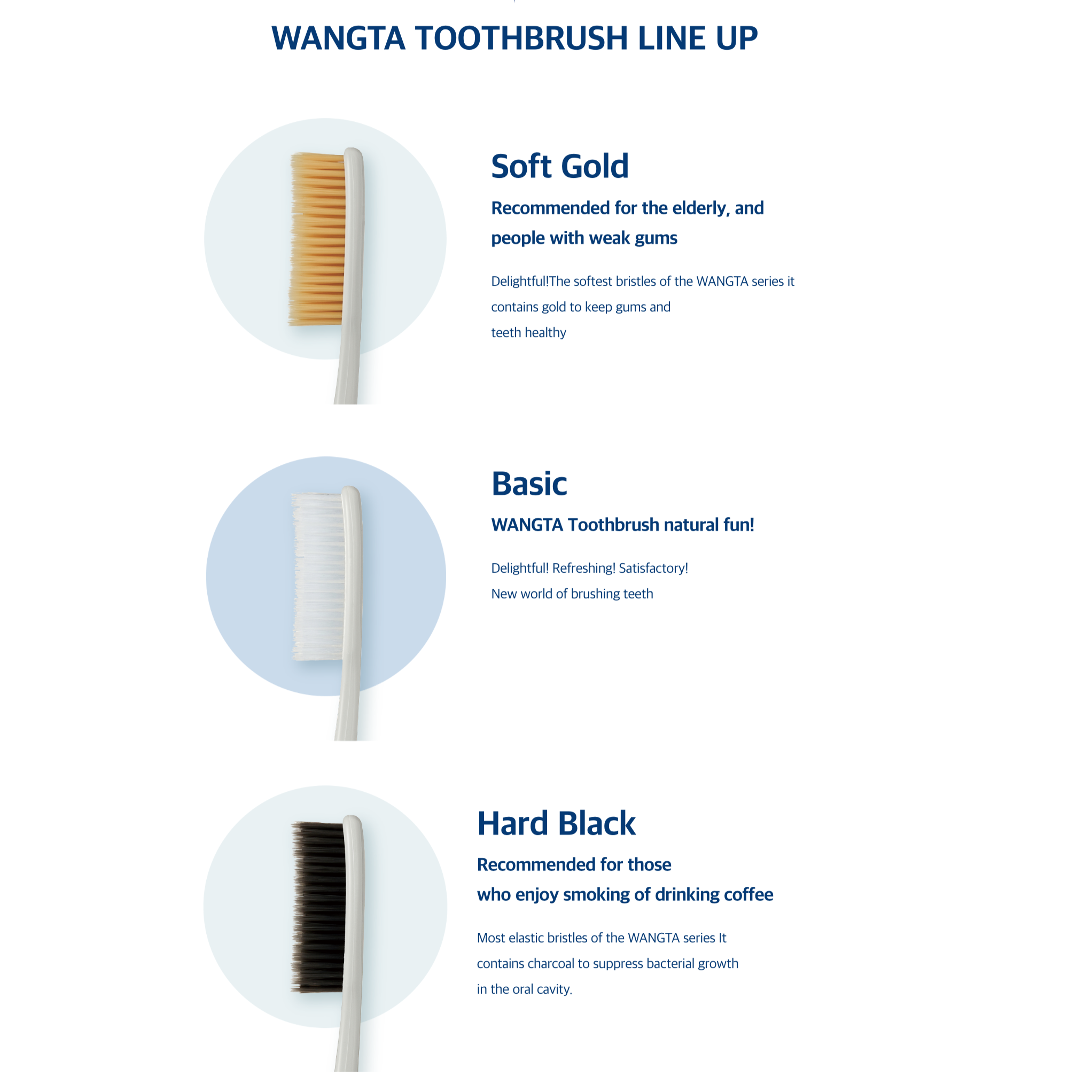 Wang Ta Toothbrush Basic 688 – 5-Pack Soft Wide-Head Toothbrushes