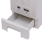 Rice Dispenser 22kg
