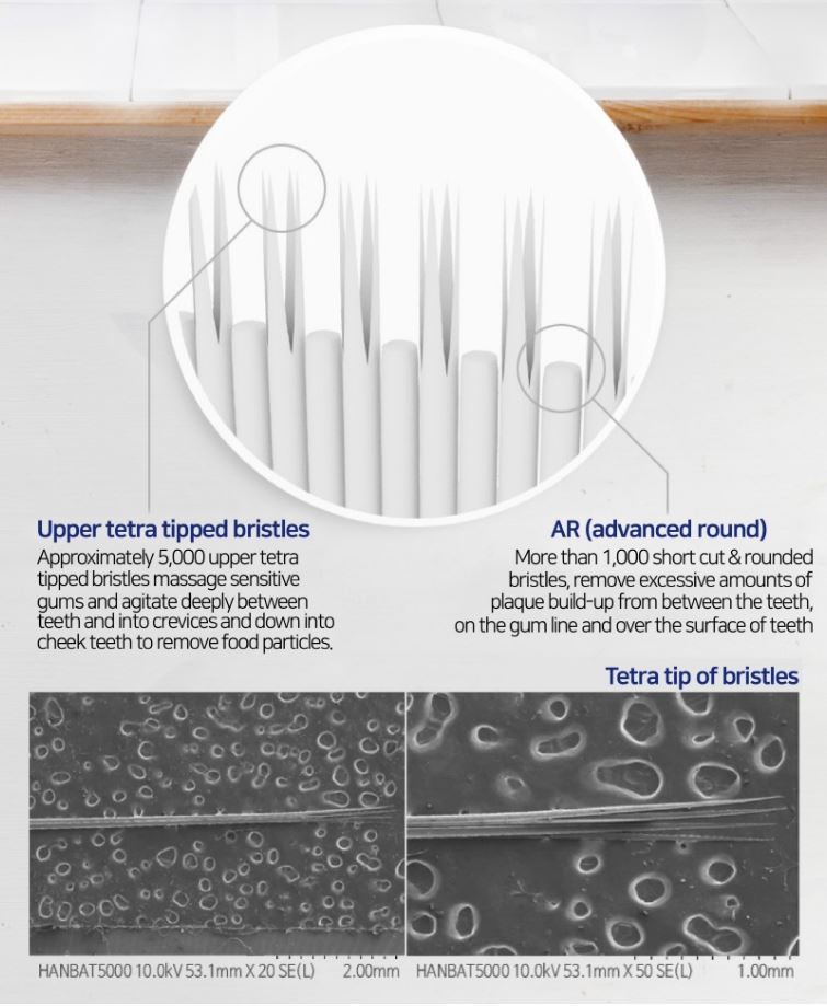 Crystal Compact Toothbrush (BT142156)